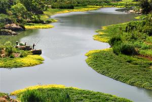 Wetland definition at home and abroad